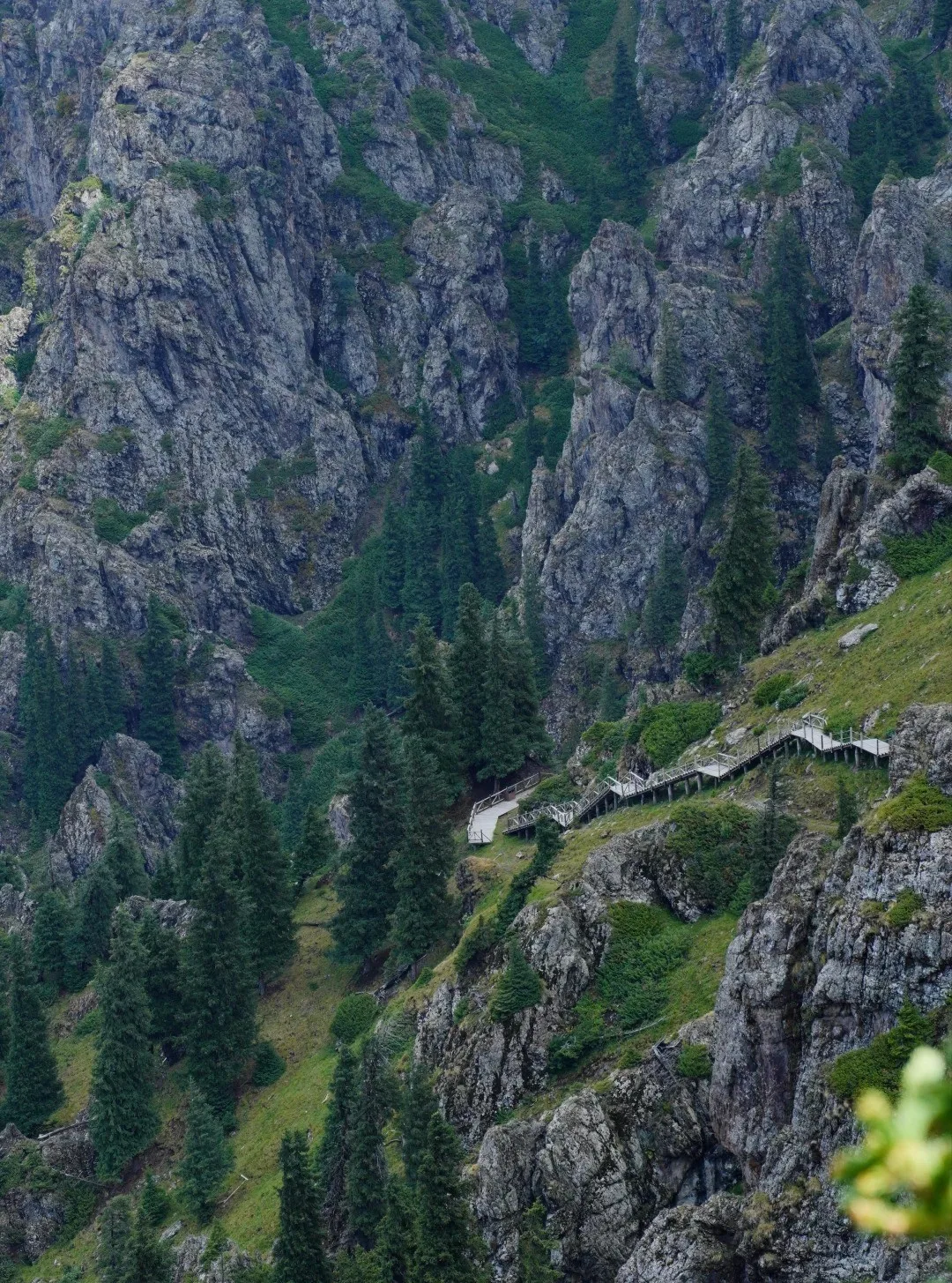 The lakeside trail on the west bank
