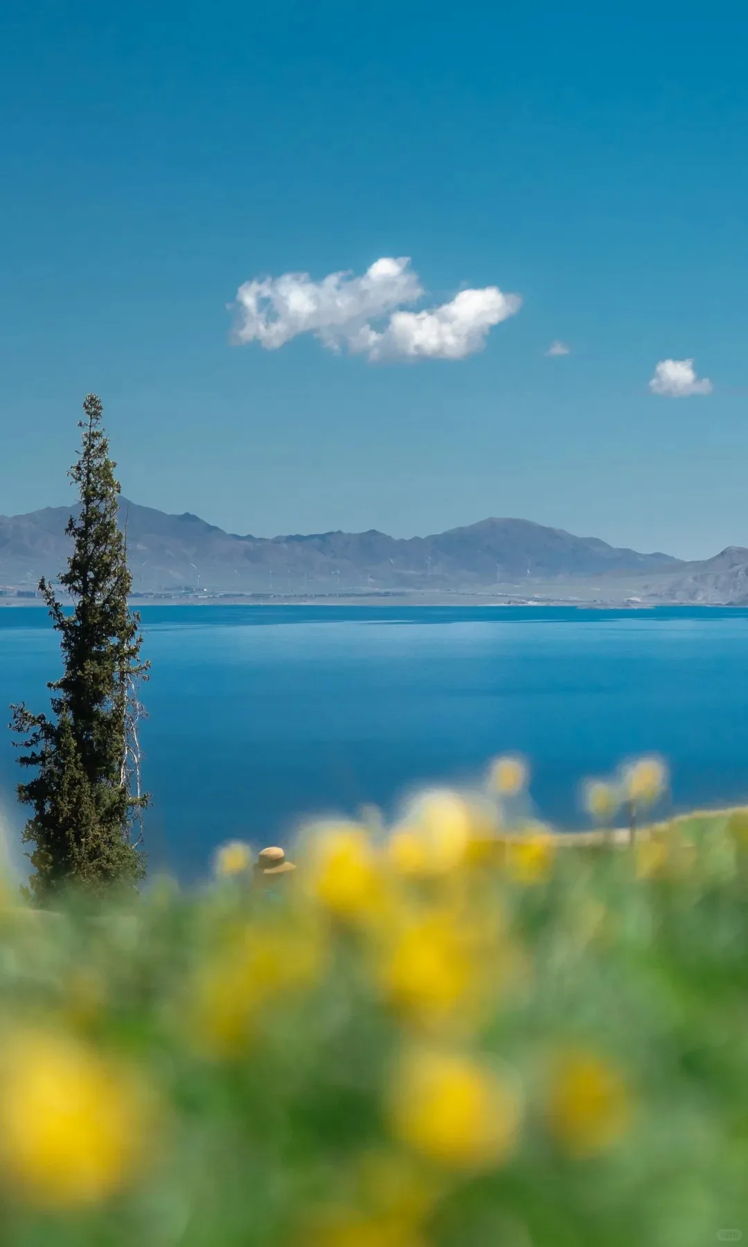 Gorge and snow peaks along the Duku highway
