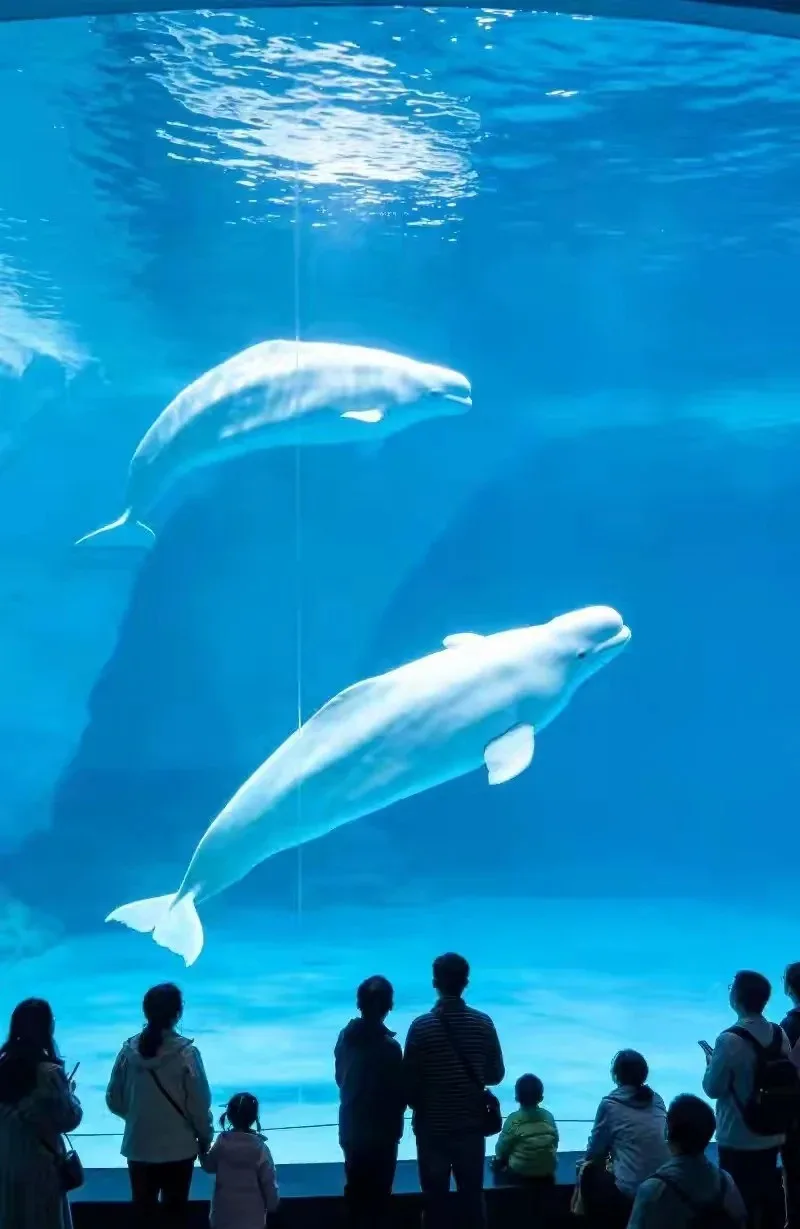 The penguin hall and its underwater tank