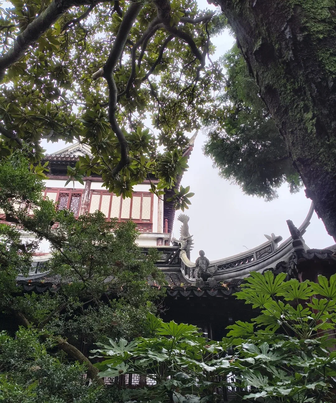 The nine-turning bridge and the tea house on the lake
