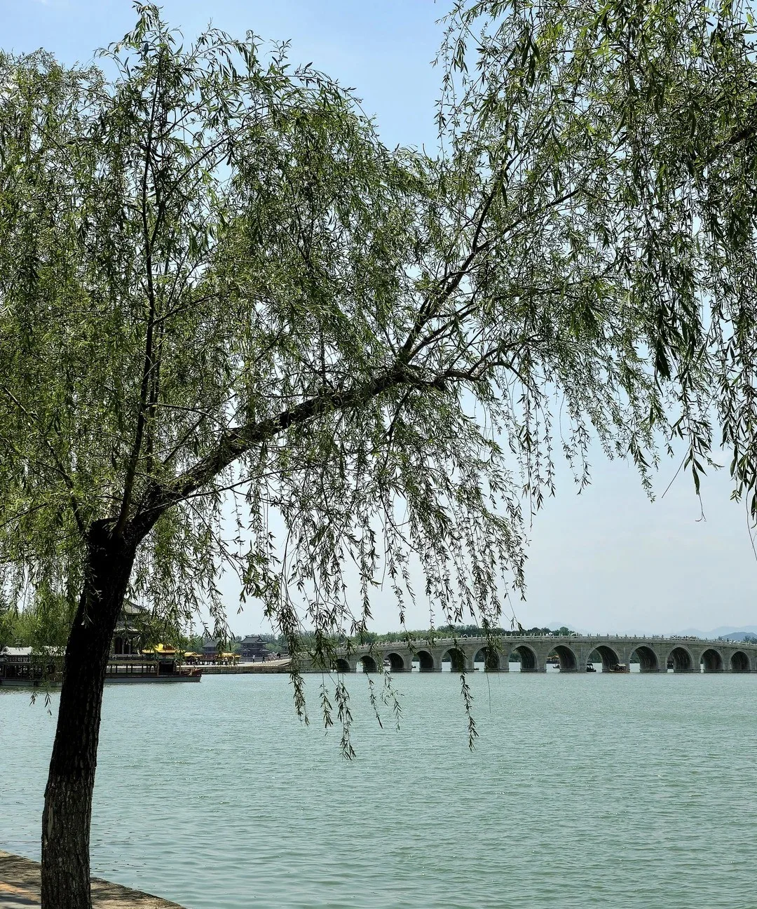 Shops and the shoreline of Suizhou Street.