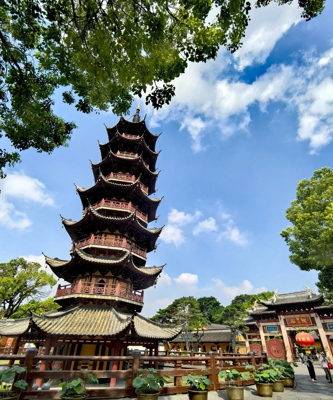 The hall of Mahavira and the old courtyard trees